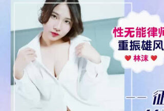 Idol Media IDG5648 Impotent lawyer regains his power and conquers the charming secretary with black silk stockings