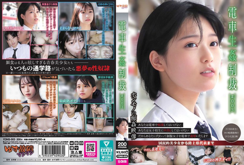 YDNS-003 การลงโทษทางเพศบนรถไฟ #003