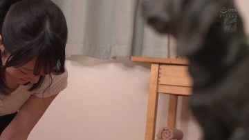 NPJB-095B