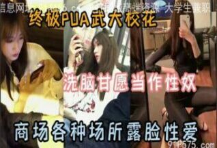 SONEE-1076 Watch free Chinese AV