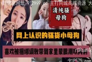 SONEE-1463 Watch free Chinese AV