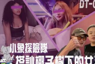 小象探险队泰国直直撞开发夜间留恋街头