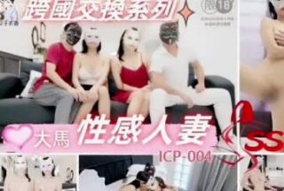 跨国联谊系列.夫妻联谊