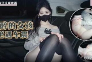 Drunk girl has sex with car