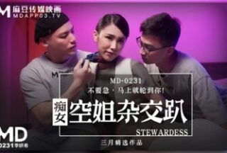 The Slutty Flight Attendant Has A Crossbreed Party. Don’T Rush, It’Ll Be Your Turn Right Away!