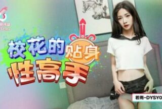 DYSY004 The school beauty’s personal touch expert