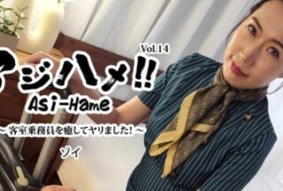 HEYZO 3595 アジハメ！！Vol.14～客室乗務員を癒してヤリました！～ – ゾイ