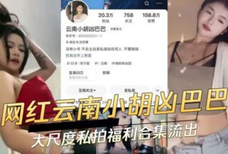 Internet celebrity Yunnan Xiao Hu Ji Baba’s large-scale private photo welfare collection xxx