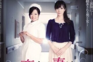 ADN-012 Wife’S Love – Reiko Sawamura Kaori