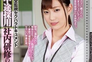 ATID-359 The Reality Of In-House Training For Mid-Career Hires Akari Mitani