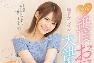 FSDSS-093 First Storm Surge – Natsu Tojo