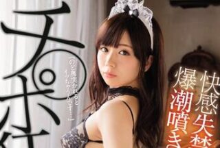 IPX-014 Mad Maid – Seira Kotomizu