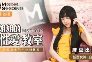 Sister’s Sex Classroom: The First Experience of Training Her Brother