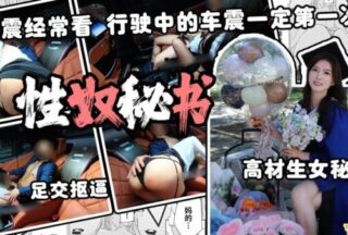 The correct way to use a secretary. Car vibrations while driving. Car vibrations are common.