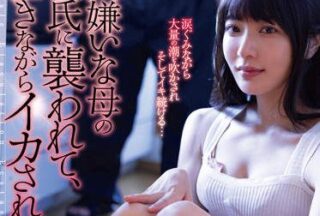 DLDSS-150 Attack On A Male Friend Of A Mother’S Mother – Jun Mizukawa