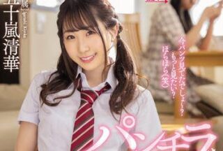 MIDV-159 她姐姐给i 襹的内裤-Igarashi Seika