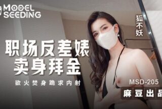 MSD-205 The Contrasting Bitch in the Workplace Sells Her Body for Money