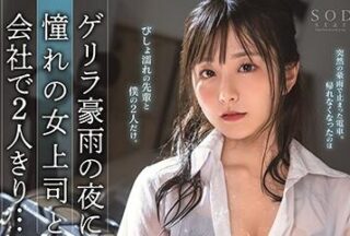 STARS-388 The Boss Of A Dream Love Story – Hikari Aozora