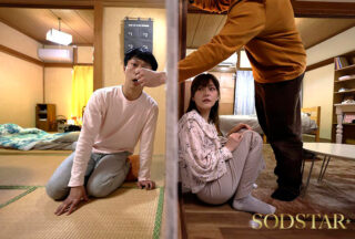 Uncensored START-353 The beautiful wife in the apartment next door to me was sexually frustrated. We had a secret affair for five days, where I penetrated her vagina from behind while standing through a 10cm hole in the wall that had been made during a marital quarrel. Hikari Aozora