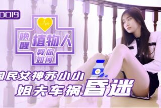 Su Xiaoxiao JD019’s sister-in-law and vegetative state