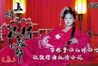 Xiao Nan JD066, “Wrong Carriage, Right Groom” Romance Novels