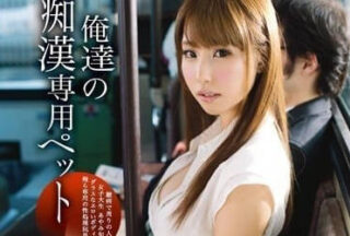 ABP-112 Meat Toy For Molestation – Shunka Ayami