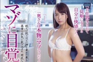 RBD-834 A Woman Who Awakened To Masochism 5 Jessica Kizaki
