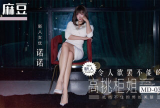 Madou Media Film MD-0381: The irresistible tall saleswoman can’t resist the 175cm model’s long legs in black stockings. (Nono)