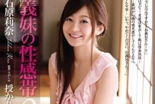 RBD-697 Sister’S Sexual Sensation – Rina Ishihara