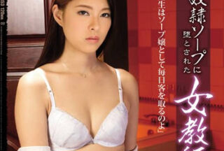 RBD-853 Fallen Adult Slave Female Teacher