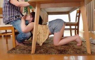Uncensored DVDMS-890 Summer Days When My Daughter-in-law Came Home
