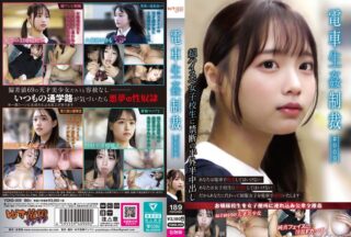 YDNS-009 การลงโทษทางเพศบนรถไฟ #009