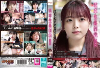 YDNS-011 การลงโทษการข่มขืนบนรถไฟ #011